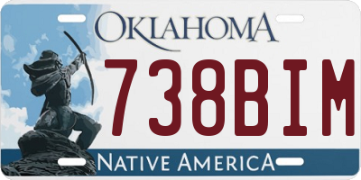 OK license plate 738BIM