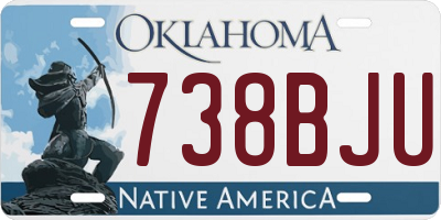 OK license plate 738BJU