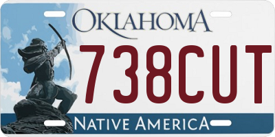 OK license plate 738CUT