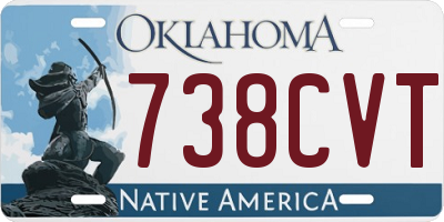 OK license plate 738CVT