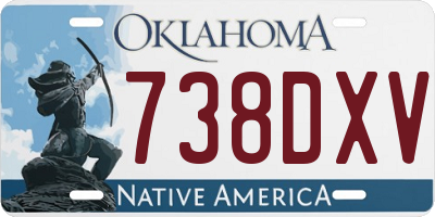 OK license plate 738DXV