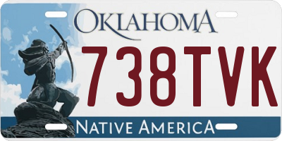 OK license plate 738TVK
