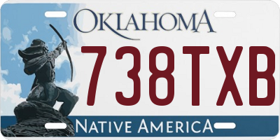 OK license plate 738TXB