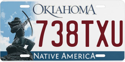 OK license plate 738TXU
