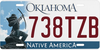 OK license plate 738TZB