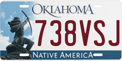 OK license plate 738VSJ