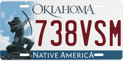 OK license plate 738VSM