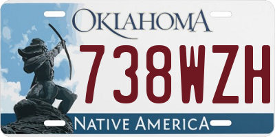 OK license plate 738WZH