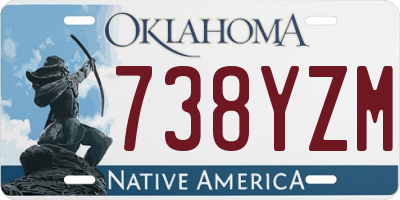 OK license plate 738YZM