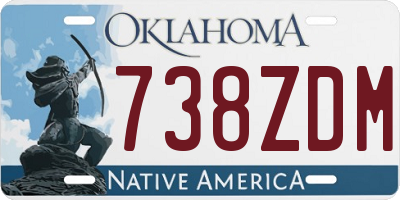 OK license plate 738ZDM