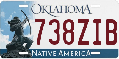 OK license plate 738ZIB