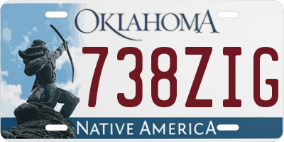 OK license plate 738ZIG
