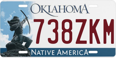 OK license plate 738ZKM