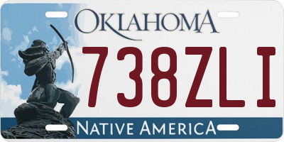 OK license plate 738ZLI