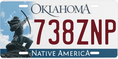 OK license plate 738ZNP