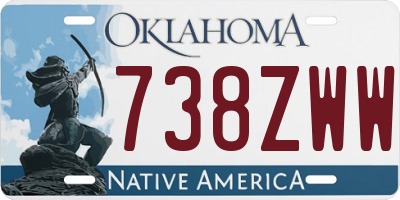 OK license plate 738ZWW