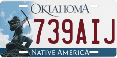 OK license plate 739AIJ