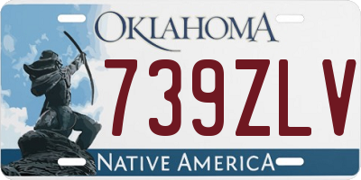 OK license plate 739ZLV