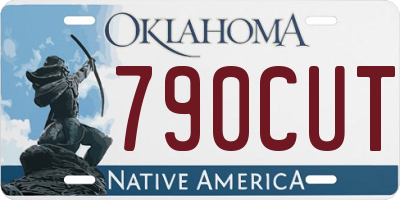 OK license plate 790CUT