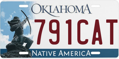 OK license plate 791CAT