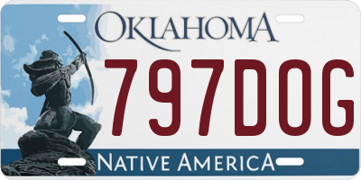 OK license plate 797DOG