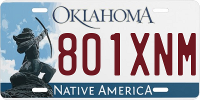 OK license plate 801XNM