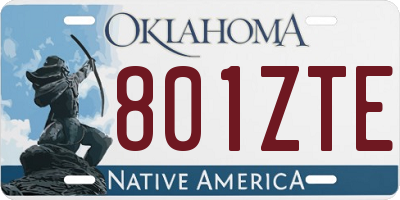 OK license plate 801ZTE