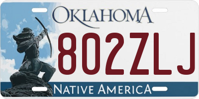 OK license plate 802ZLJ