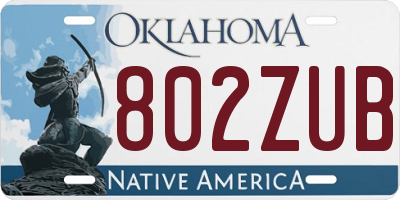 OK license plate 802ZUB