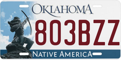 OK license plate 803BZZ
