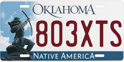 OK license plate 803XTS