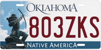 OK license plate 803ZKS