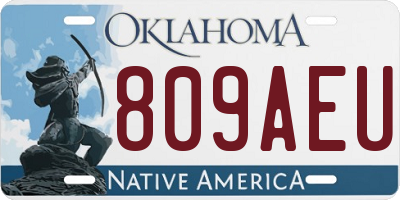 OK license plate 809AEU