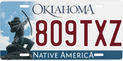 OK license plate 809TXZ