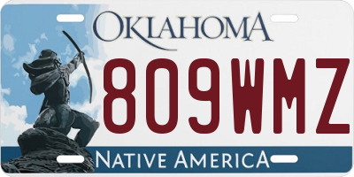 OK license plate 809WMZ