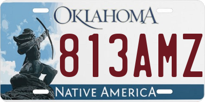 OK license plate 813AMZ