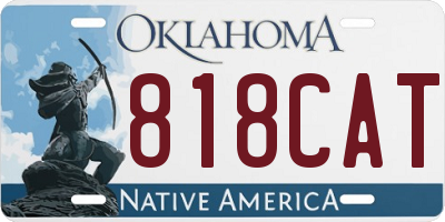 OK license plate 818CAT