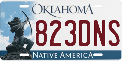 OK license plate 823DNS