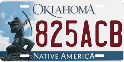 OK license plate 825ACB
