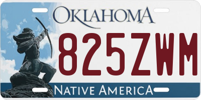 OK license plate 825ZWM