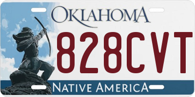 OK license plate 828CVT