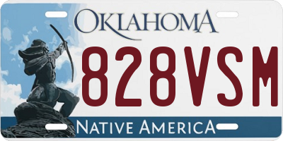 OK license plate 828VSM