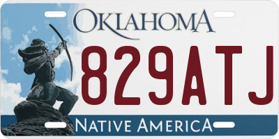OK license plate 829ATJ