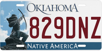 OK license plate 829DNZ