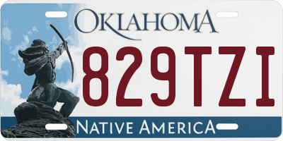 OK license plate 829TZI