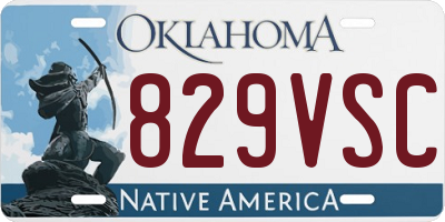 OK license plate 829VSC