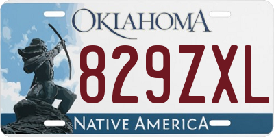 OK license plate 829ZXL
