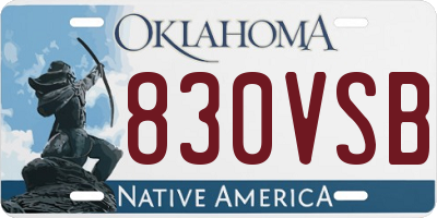 OK license plate 830VSB