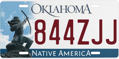 OK license plate 844ZJJ