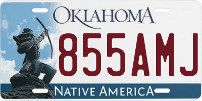 OK license plate 855AMJ